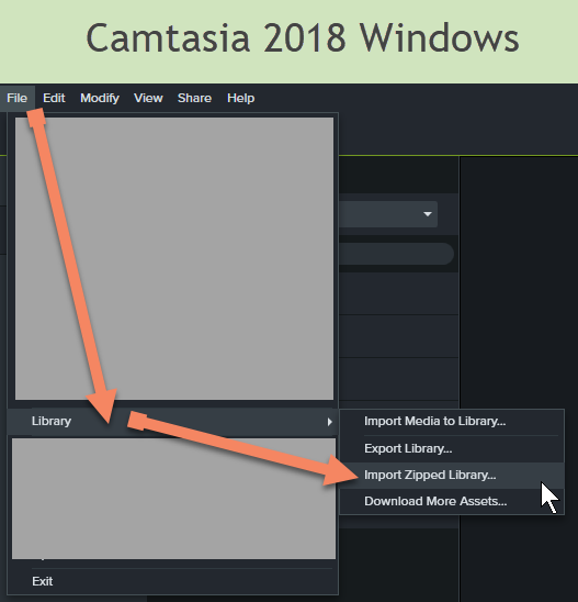 import camtasia library assets